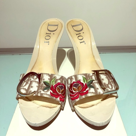 christian dior clogs